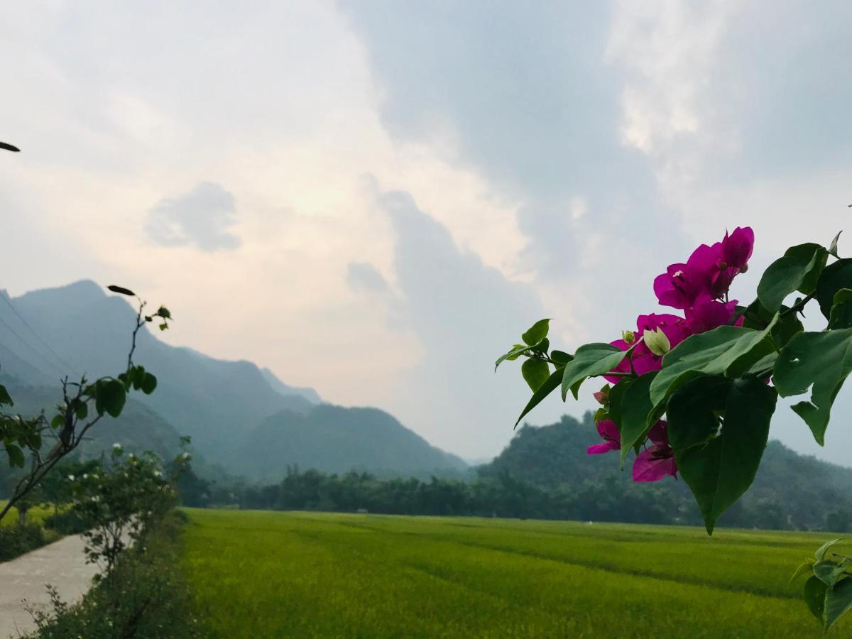 Отель Jomo House Mai Chau Hoa Binh Экстерьер фото